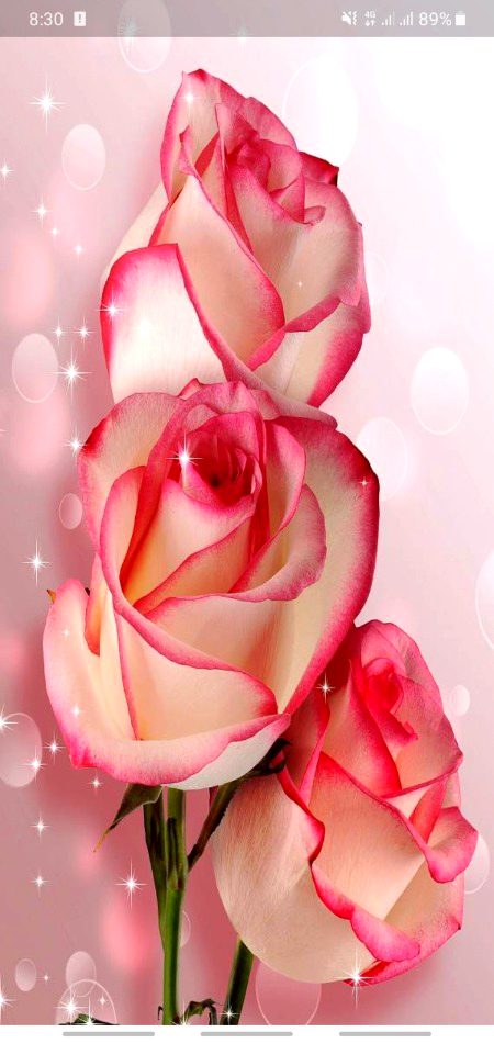 Digital Art image