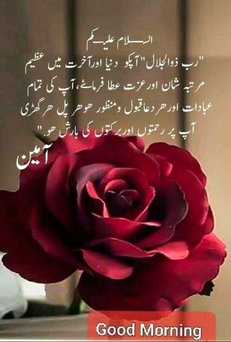 Islamic Quotes image