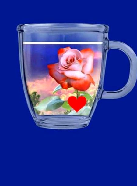 Good morning