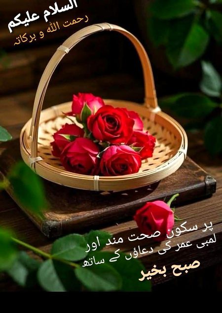 Good morning