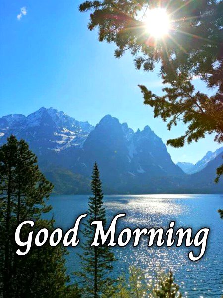 Beautiful Nature image