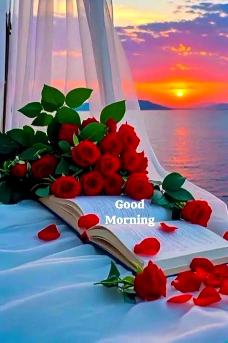 Beautiful Nature image