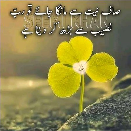 Islamic Quotes image