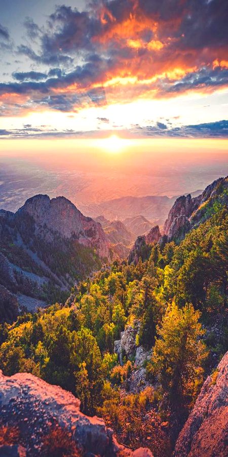 Beautiful Nature image