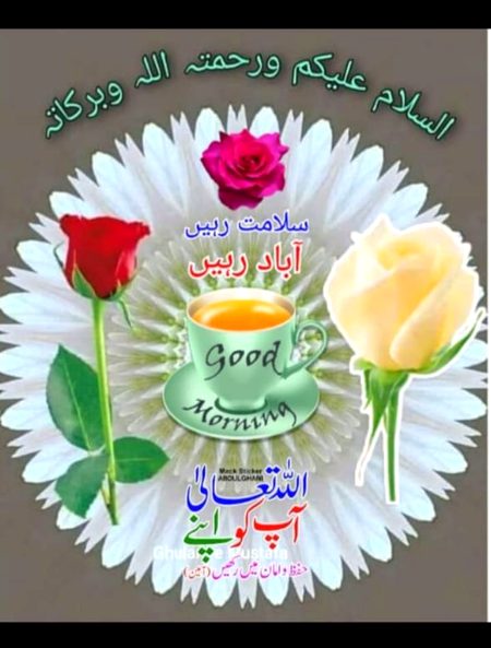 Good morning