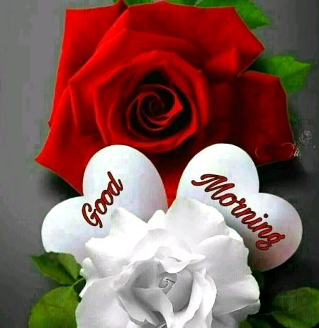 Beautiful Nature image