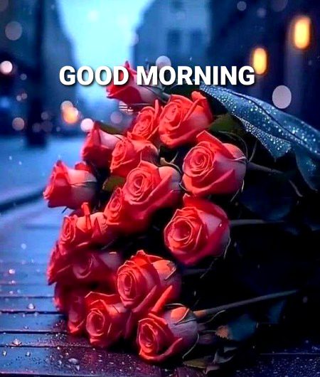 Beautiful Nature image