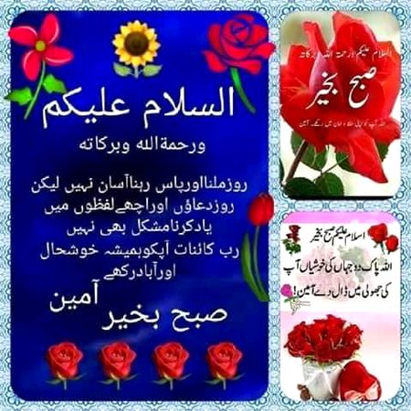Good morning