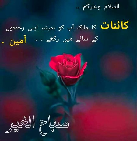 Islamic Quotes image