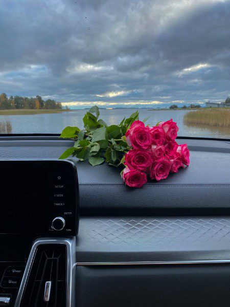 Beautiful Nature image