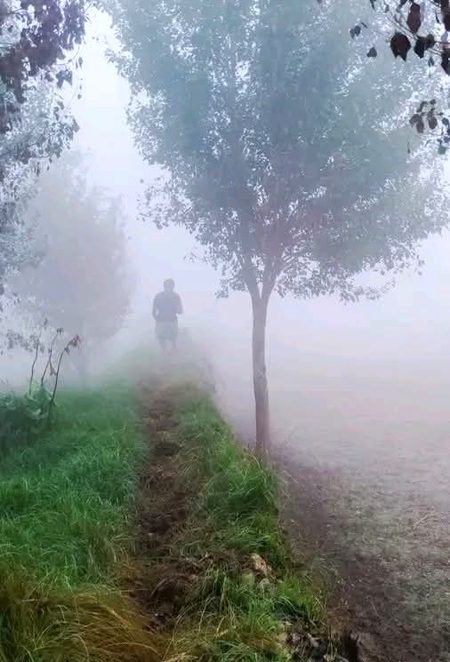 Beautiful Nature image