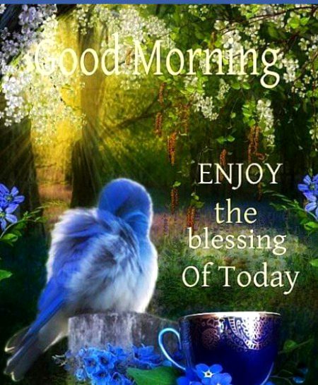 Good morning