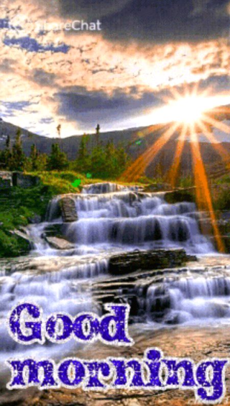 Good morning