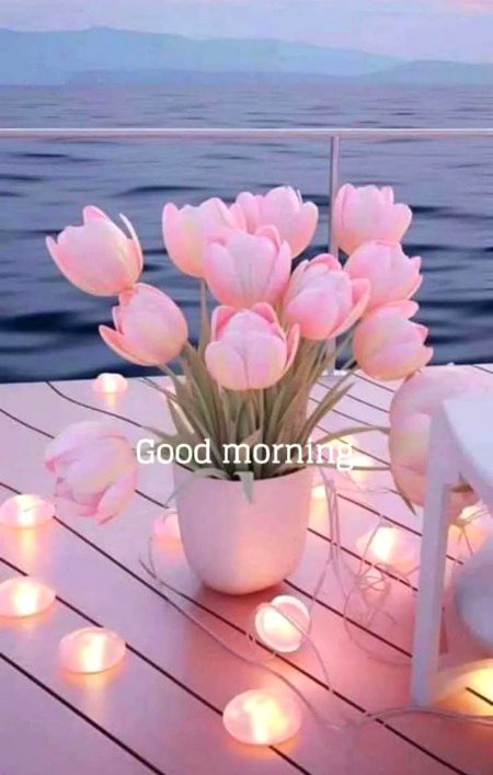 Beautiful Nature image
