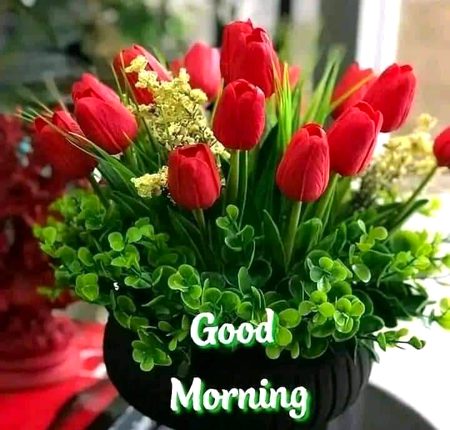 Beautiful Nature image