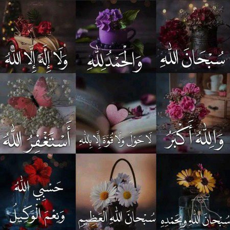 Islamic Quotes image