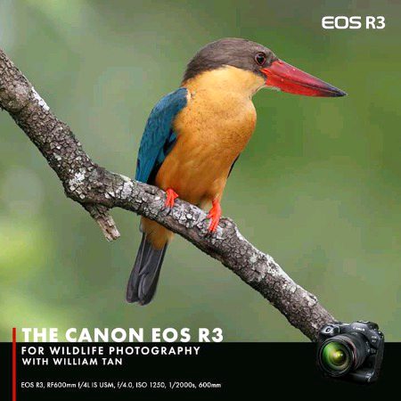 Beautiful Nature image