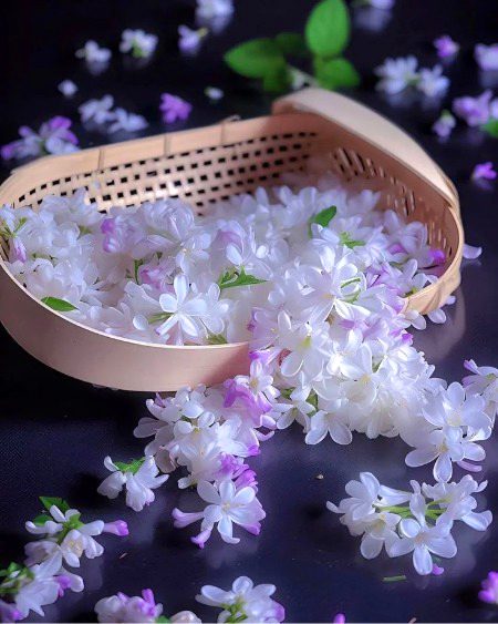 Beautiful Nature image