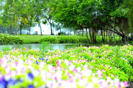 Beautiful Nature image