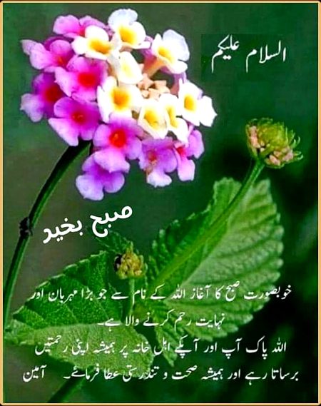 Good morning