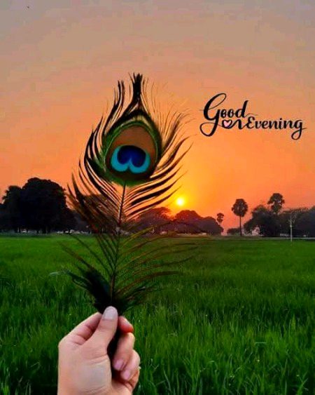 Good morning