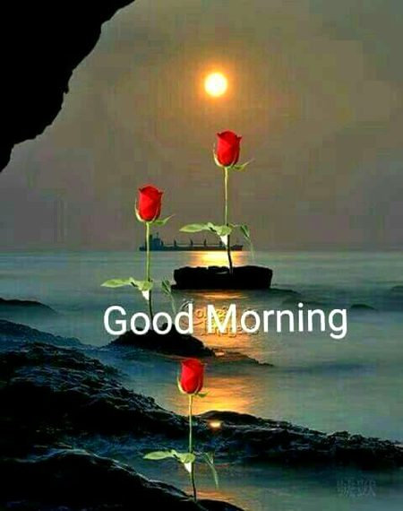 Beautiful Nature image