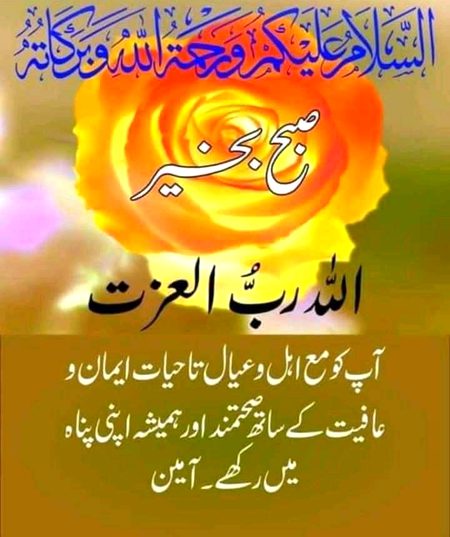 Islamic Quotes image