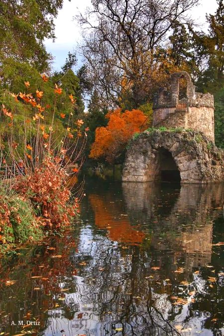 Beautiful Nature image