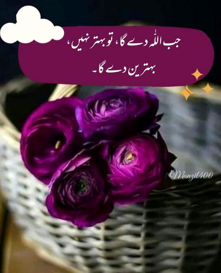 Islamic Quotes image