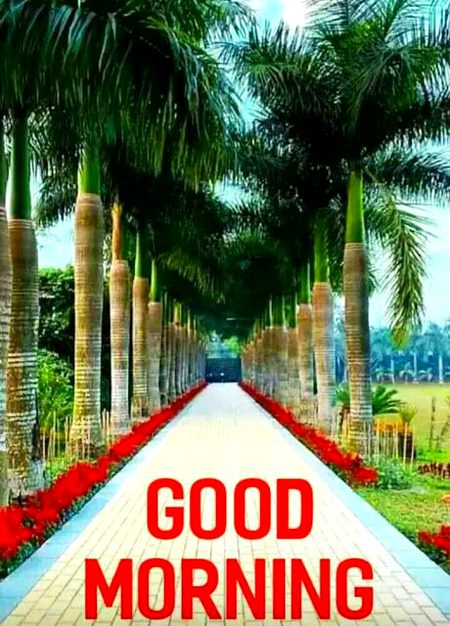 Beautiful Nature image