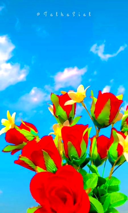 Beautiful Nature image