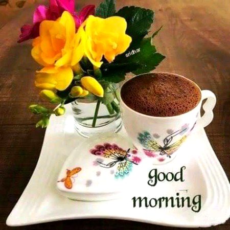 Beautiful Nature image