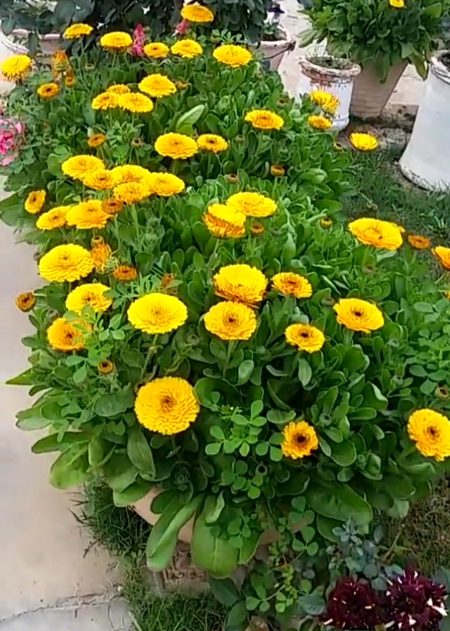 Beautiful Nature image