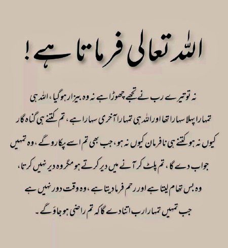 Islamic Quotes image