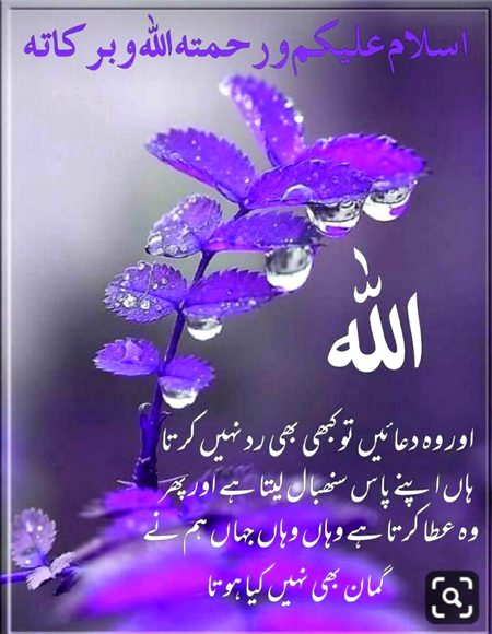 Good morning