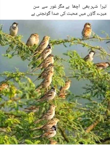 Beautiful Nature image