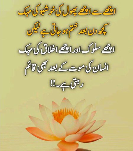 Good morning
