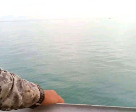 Beautiful Nature image