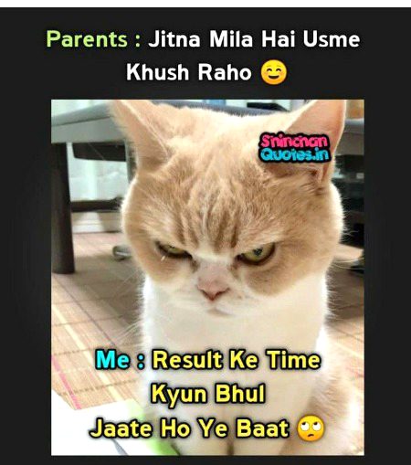 Memes & Satire image