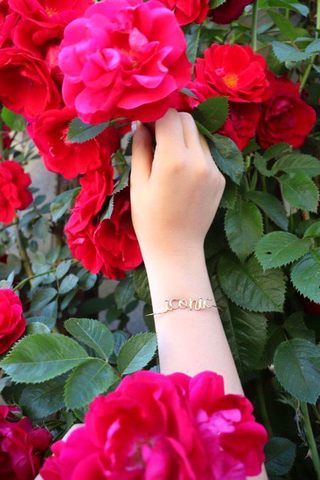 Beautiful Nature image