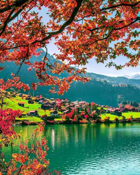 Beautiful Nature image