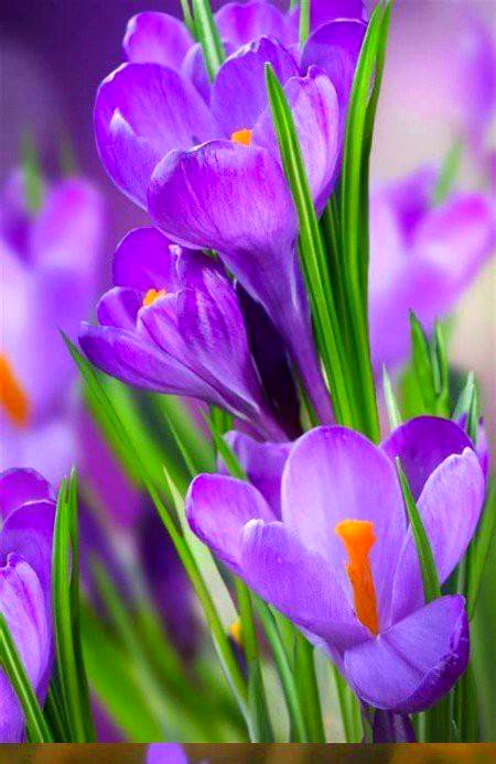 Beautiful Nature image