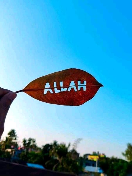 Islamic Quotes image