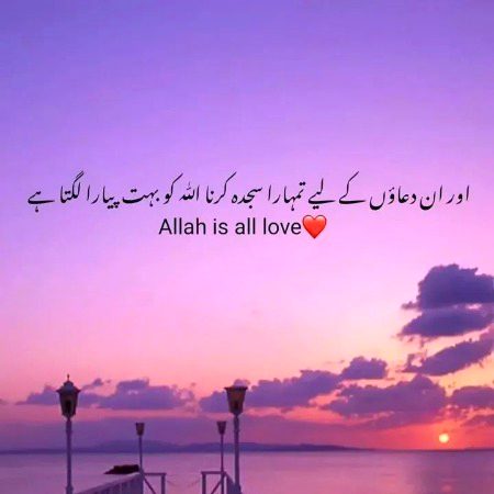 Islamic Quotes image