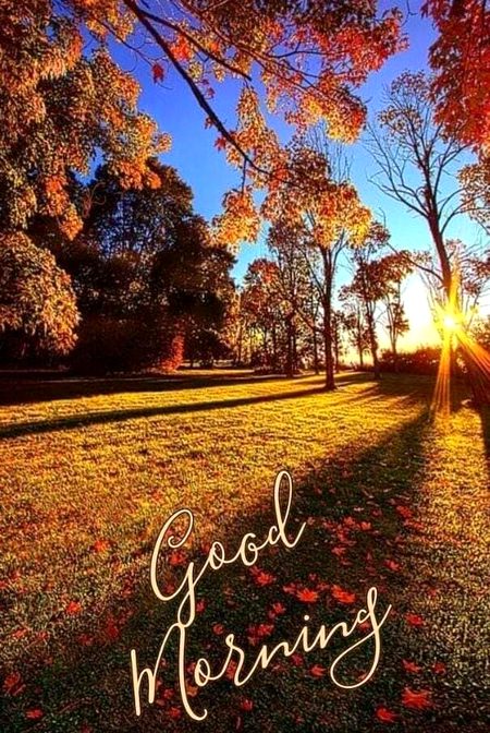 Beautiful Nature image