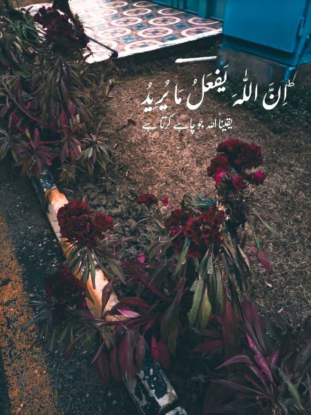 Islamic Quotes image