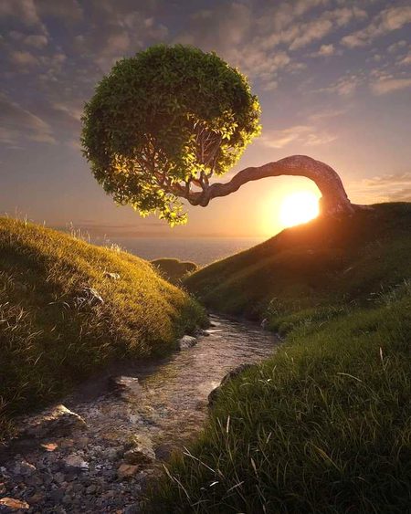 Beautiful Nature image
