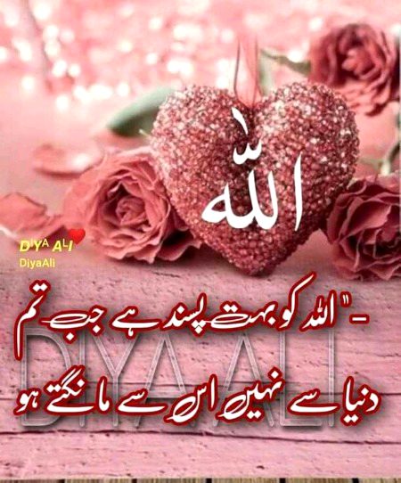 Islamic Quotes image