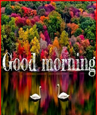 Good morning