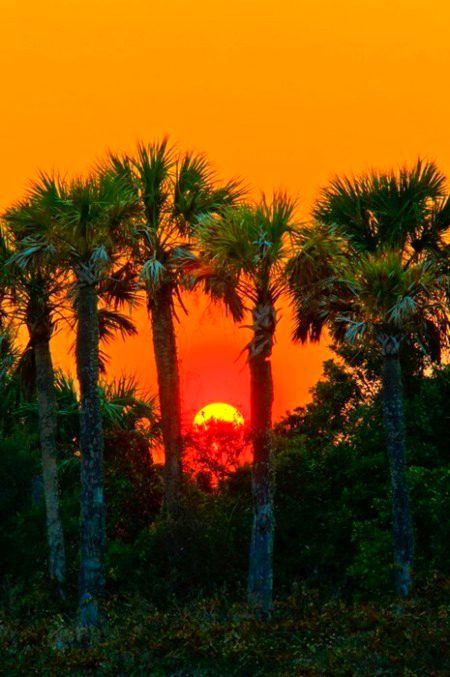 Beautiful Nature image